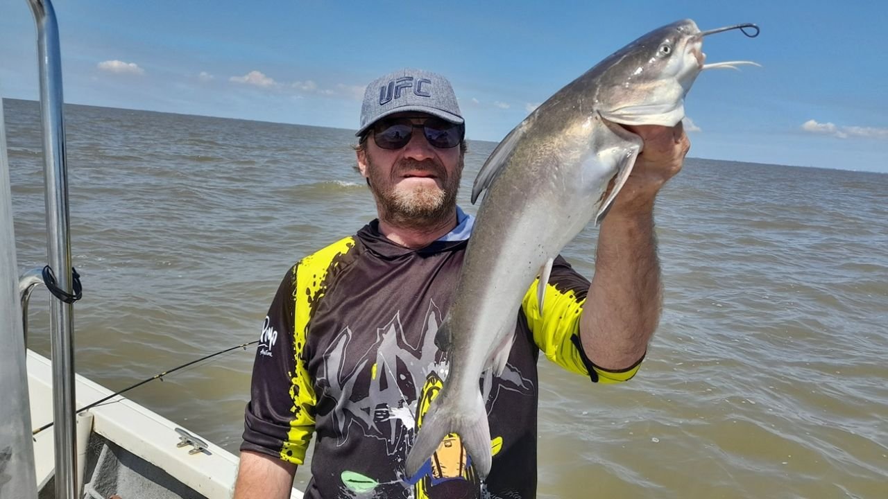Alta pesca de bagres de mar en Berisso