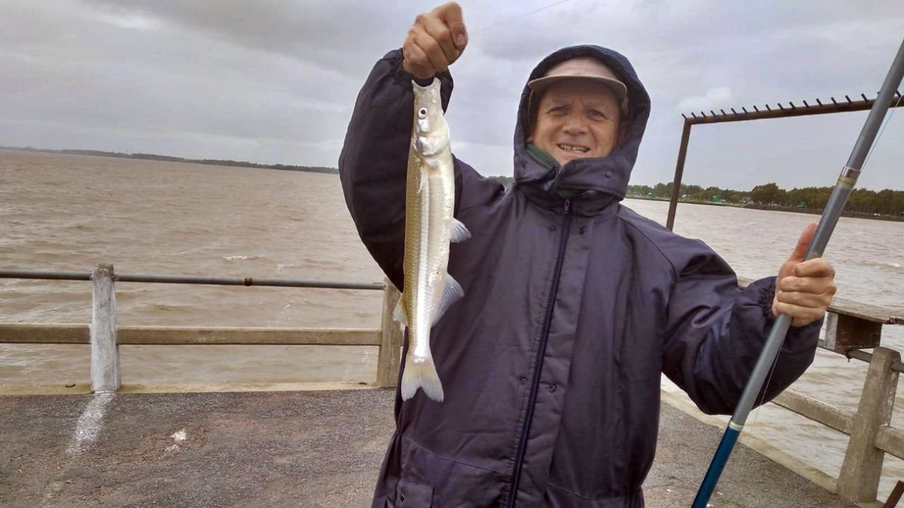 En el Río de la Plata aún se puede disfrutar del pejerrey desde la costa