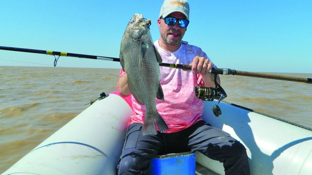 Las corvinas negras más cerca que nunca en tu Weekend de noviembre!!