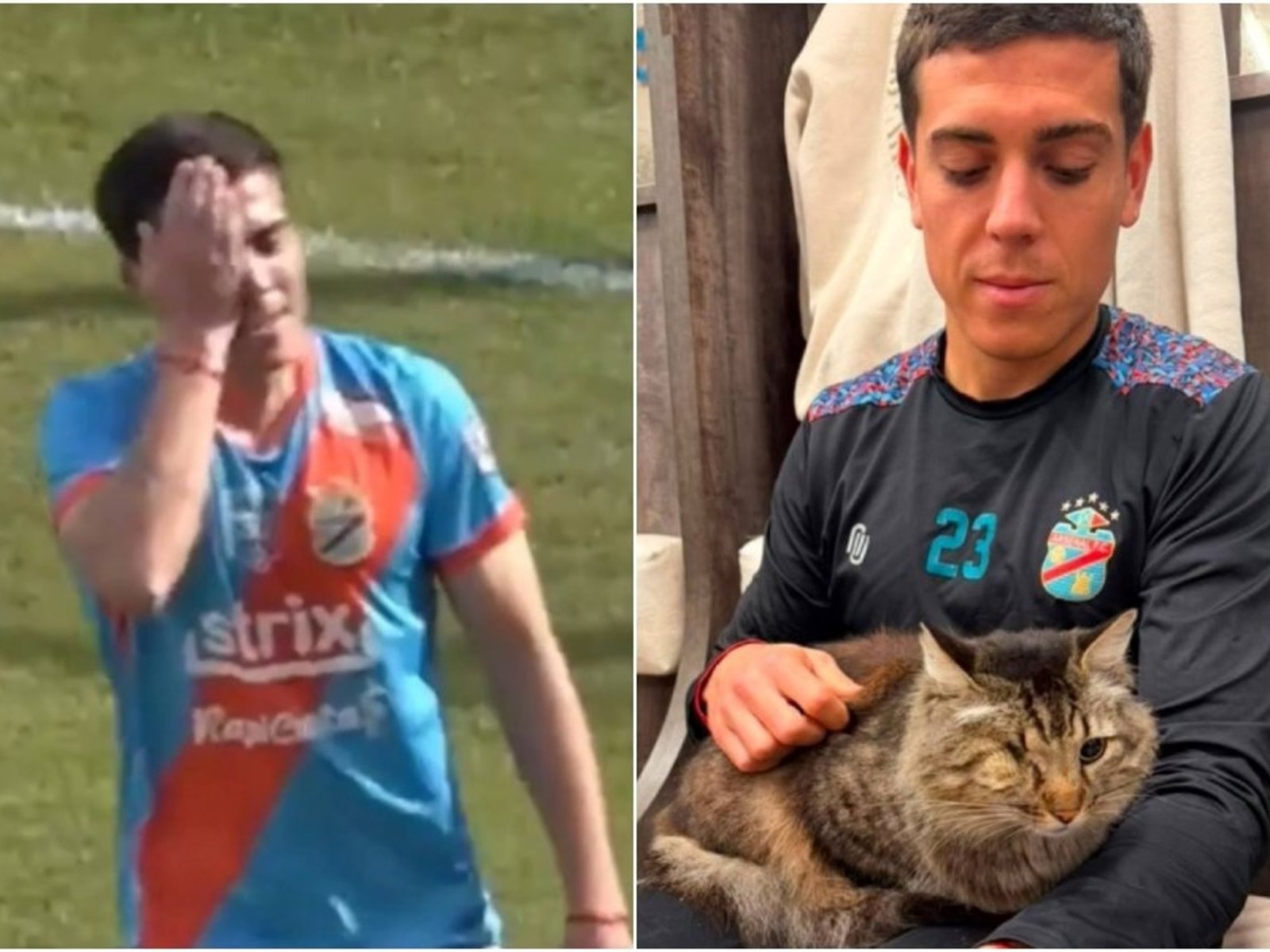 la tierna historia del futbolista argentino que le dedicó un gol a un gato fallecido
