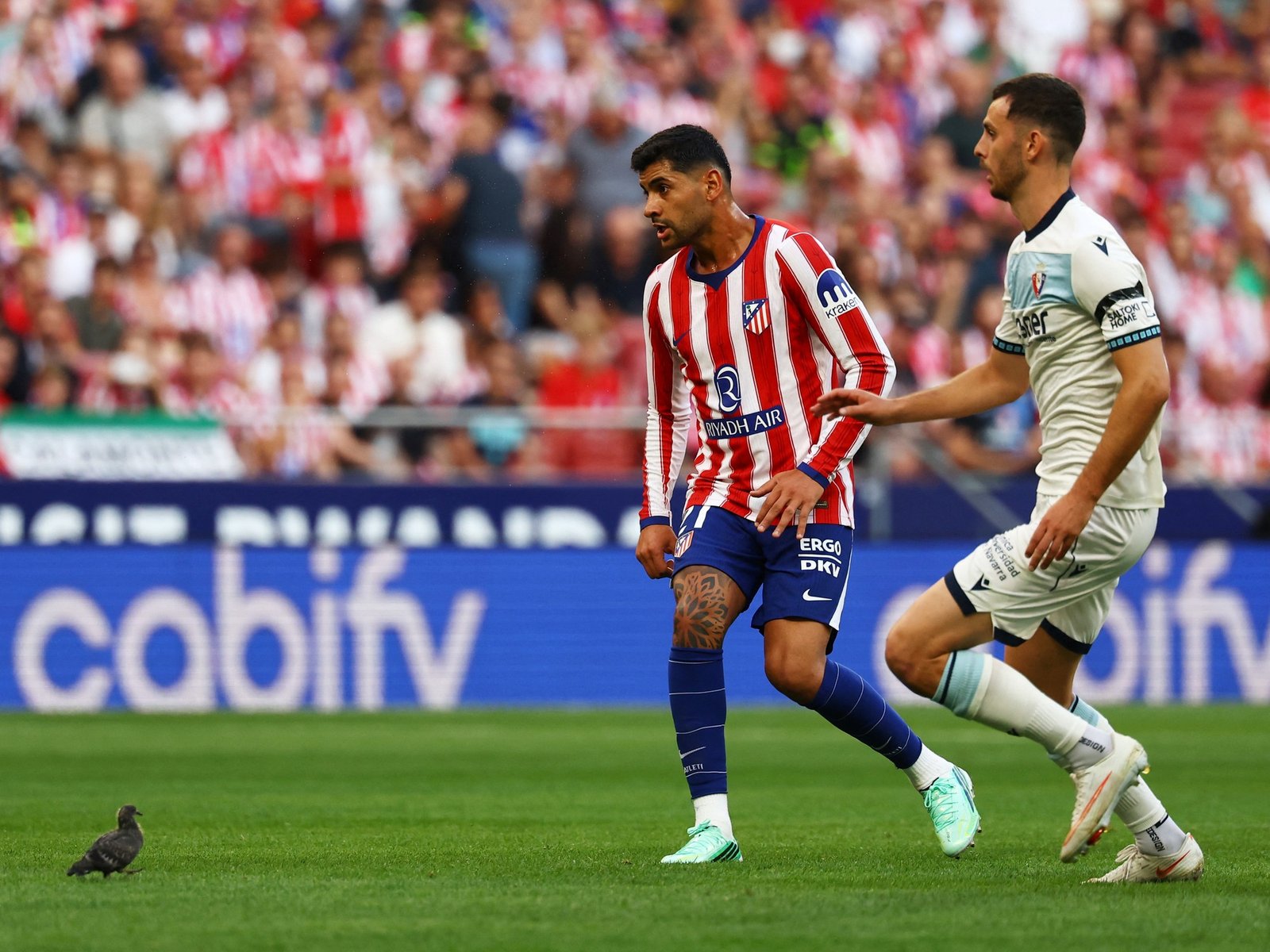 el brutal elogio de Simeone a Cuti Romero